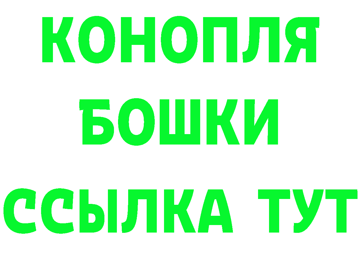 Альфа ПВП СК КРИС вход маркетплейс OMG Билибино